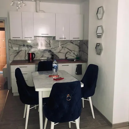 Bluemoon-apartment With Parking 布尔加斯
